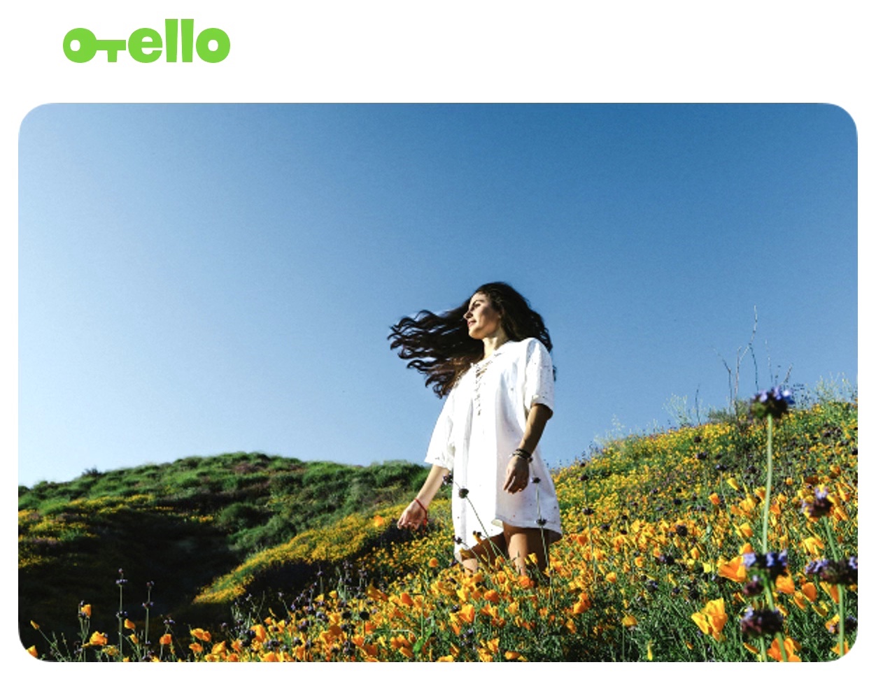 Цветёт всё!