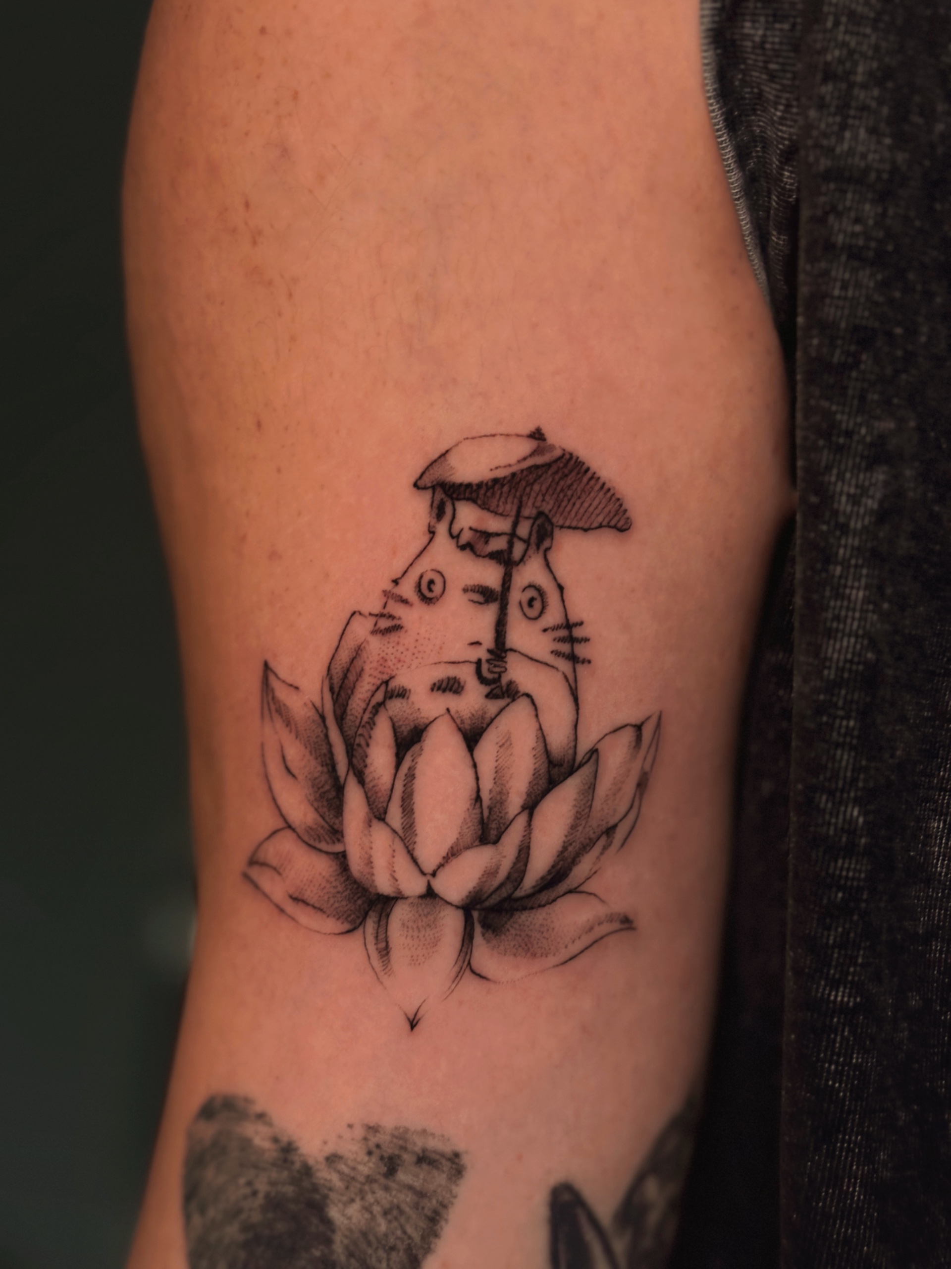 TOTORO